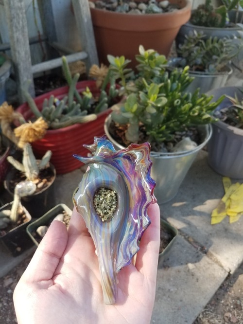 artislove-artislife: Smoked out of my christina cody glass seashell for like the second time since I got it last year 😅💗