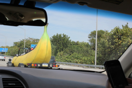 boredology: jeffrubinjeffrubin: When I was in Florida last week I saw a car shaped like a banana. Th