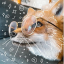 finch-the-fox