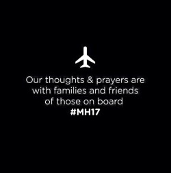 rochellek1994:  R.I.P to all of the victims of the Ukraine-Russia MH17 passenger plane attack. x