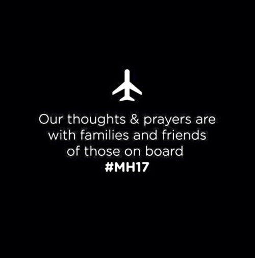 rochellek1994: R.I.P to all of the victims of the Ukraine-Russia MH17 passenger plane attack. x