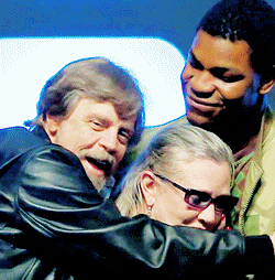 spaceoperafeerie:  domhnallgleeful:  x  #3 makes me beam
