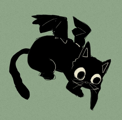 More Bat Cat!