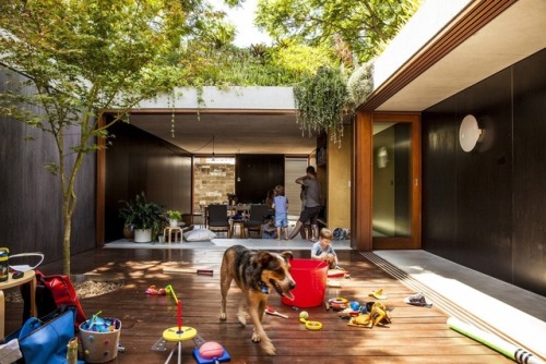 Laneway House | Jon JackaLocation: New South Wales, Australia