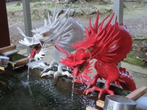 jibadojo: A good couple’s day. Red and white dragon of Izuyama shrine is a symbol of married c