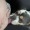 hugeredbear:Franky wanted to become the world&rsquo;s largest man by eating the