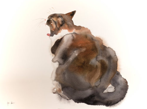 snootyfoxfashion: Beautiful Watercolor Cat Art Prints by bodorka x / x / x / x / xx / x / x / x