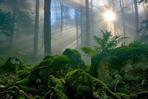 X-Lights by Vincent Favre on Flickr.