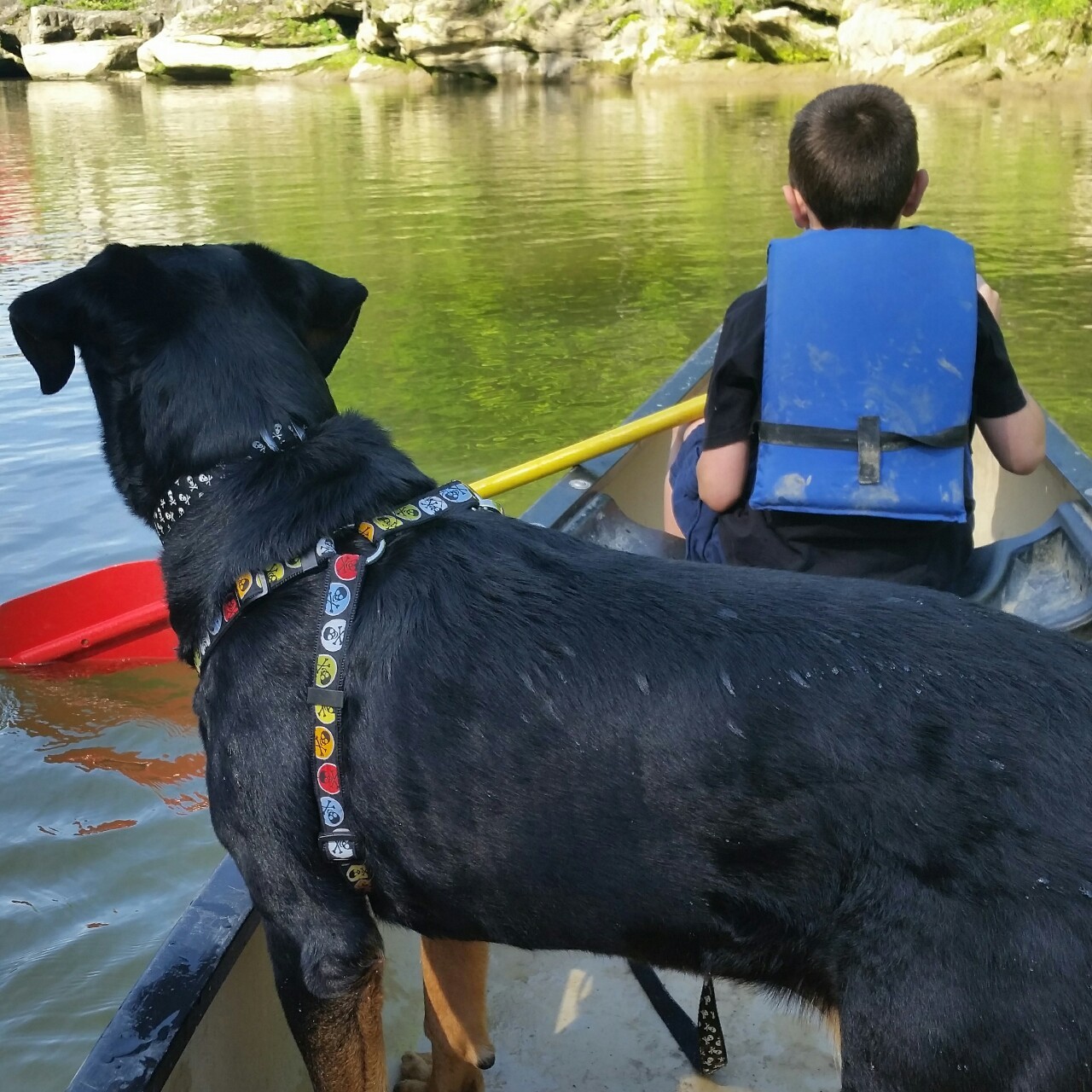 Canoeing with my son and our dog.