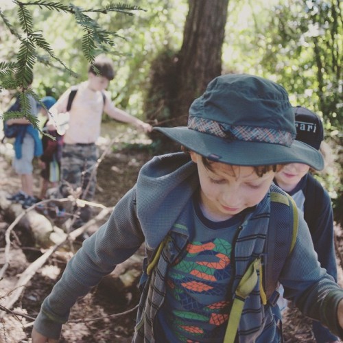 Adventuring outdoors with new #friends in the lovely shade of a #redwood grove - these summer memori