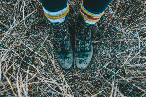 in the weeds. photo by ravivora