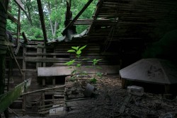 imanantisocialanarchist:  Abandoned but not dead 