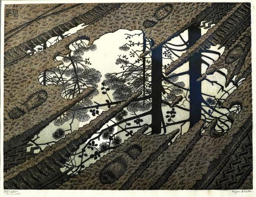 Maurits Cornelis Escher - Puddle (1952) [4900X3800]