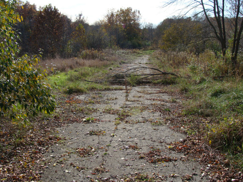 abandoned road