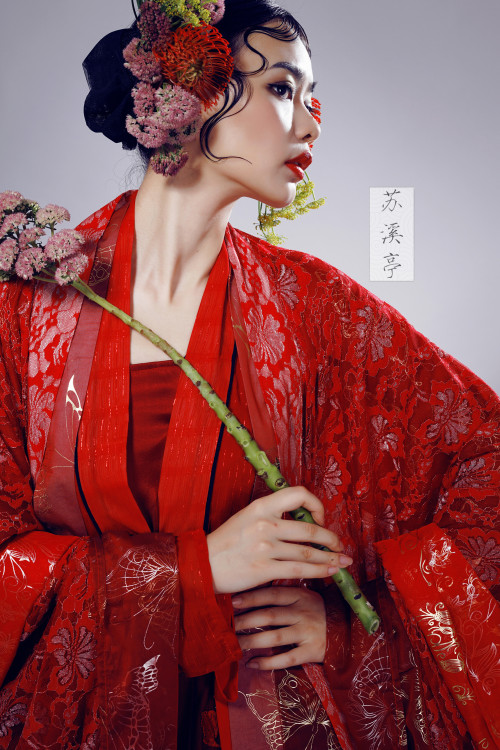 hanfugallery:Traditional Chinese hanfu by 苏溪亭