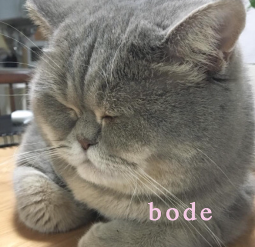 fwhats:☆.。.:*・°☆.。follow for more soft bode .。.:*・°☆.。☆