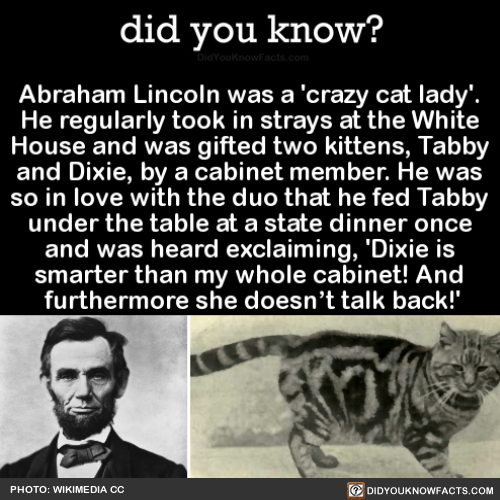 did-you-kno:  Abraham Lincoln was a ‘crazy adult photos