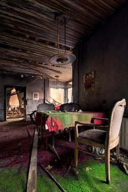 destroyed-and-abandoned:  Mossy carpet at an abandoned hotel. Photo by Matthias Lochmann. . 