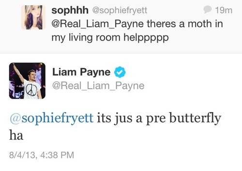 fahoohz:  But it’s just a pre butterfly, Liam.