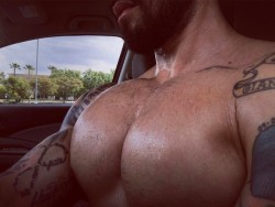 bigmalepecs:  Mac Rodriguez (@m_a_rodfit)