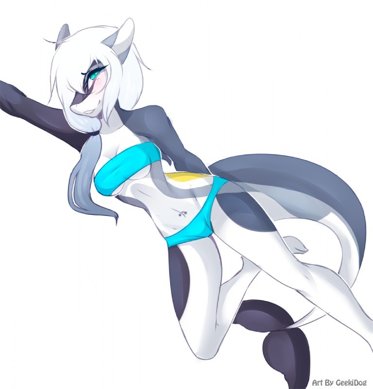 shadowguatefurr:  Shark and Dolphin Solo for secret56!!! Hope you like them! Sources: