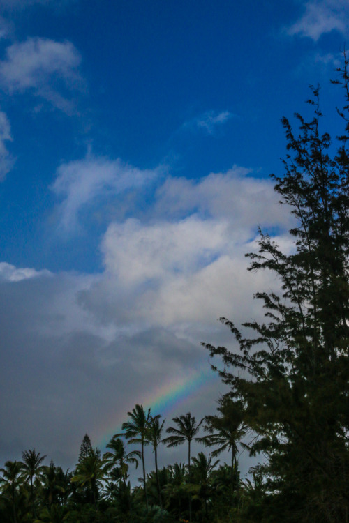 North Shore, Oahu
For last 6 months, I’ve been saving up for a new DSLR. I was back and forth on which model and finally I decided on the Canon 70D. The other day I headed up to the North Shore to play with my new toy! I’m really happy with it and...