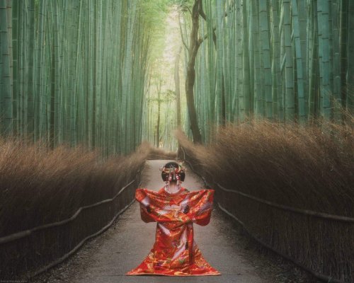 November 2017: Aoi-tayuu, of Suehiro okiya, serving as a model for photographers at a workshop hoste