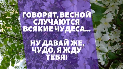 Говорят, весной случаются всякие чудеса…Ну давай же, чудо, я жду тебя!******* Весна - прекрас