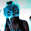 311amber-cat