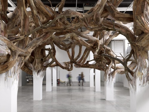 artchipel:  Henrique Oliveira (b.1973, Brazil)  Creating a spectacular and invasive Gordian Knot, Henrique Oliveira plays with Palais de Tokyo’s architecture, allowing a work that combines the vegetal and the organic to emerge. The building itself becomes