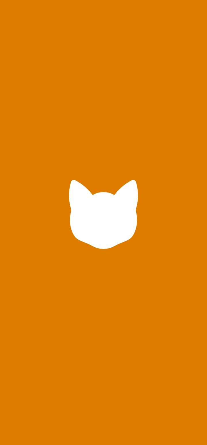 CURIOUS CAT Curious Cat