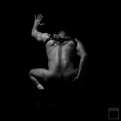 ilovebearsposts:                                http://www.mascularstudio.com/http://ilovebearsposts.tumblr.com/archive