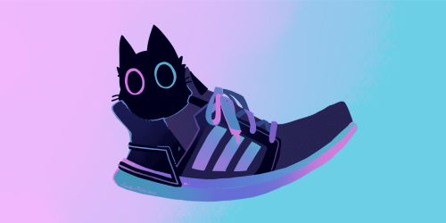 ir-dr:Day 2763 - 5 February 2020cats in sneakers.//projectTiGER