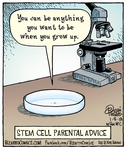 ted:    Stem cells can be used to generate all kinds of tissue—even bone! Learn