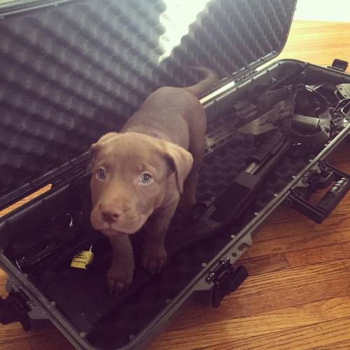 takemetotexas:  @mossyoakmaster  Dawwww😍😍😍 so cute