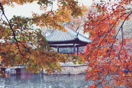 darkcloudsbrightskies:fuckyeahchinesegarden: Location: 常熟虞山 Chángshú Yúshān, co