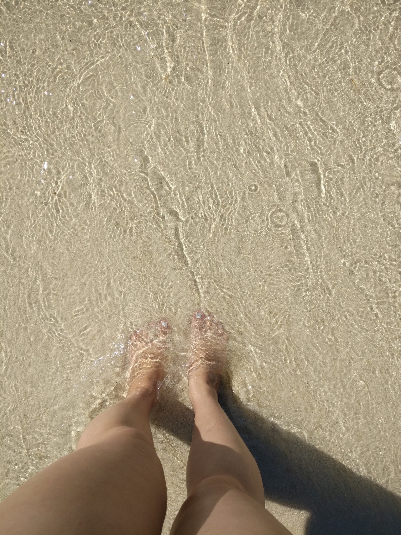 we are paradise