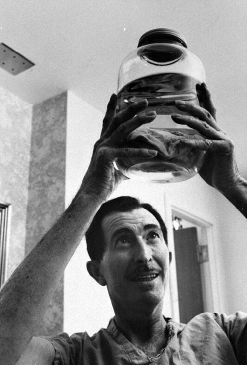 Ralph Morse - Heart transplant patient George Debord examining his diseased heart, preserved in jar of alcohol, 1968.