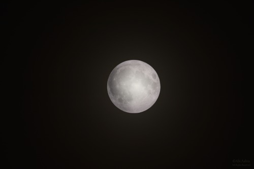 love-abia:  June’s Full Moon (Through the Night)By Abi Ashra (Tumblr)Click images for time taken.