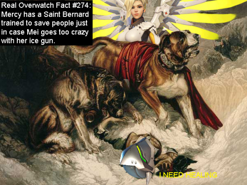 real-overwatch-facts:  Real Overwatch Fact #274:  Mercy has a Saint Bernard trained to save people just in case Mei goes too crazy with her ice gun.  Submited by @hades-m80s.