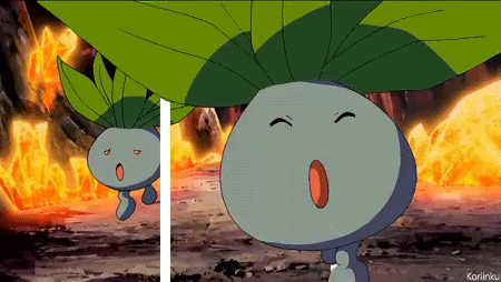 Welcome to the world of Pokemon