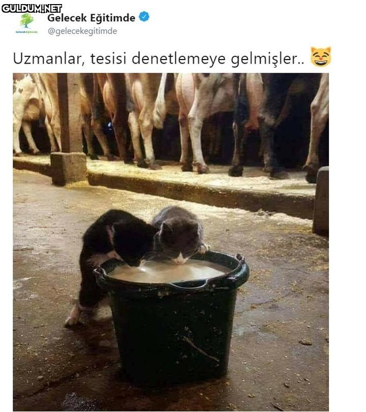 Gelecek Eğitimde...