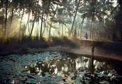 unrar:    Early morning praying in a lagoon, India 1989, Harry Gruyaert. 