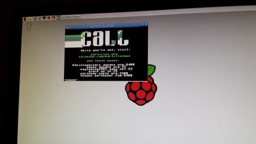 ubuntu syncterm