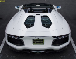 automotivated:  Aventador Roadster (by TMashPhotos)