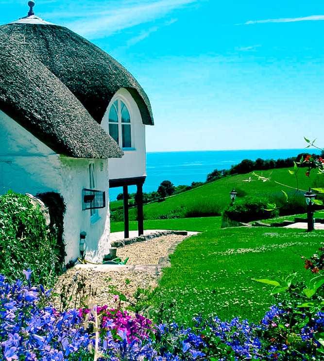 djferreira224:  simply gorgeous 