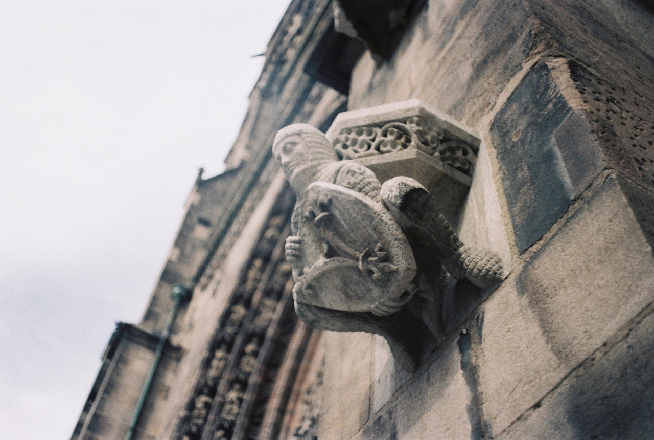 fyuf:   	Wall guardian by Viktoriia Ilig    	Via Flickr: 	Nürnberg, Deutschland