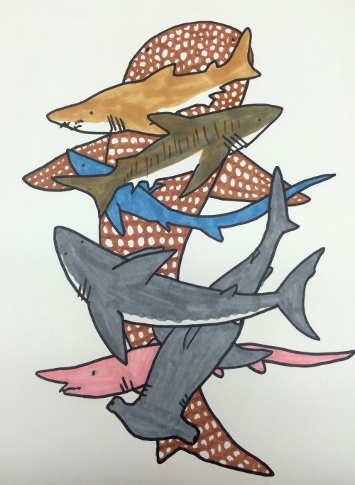 cutie-sharks: sharkie-s: moveslikekeithrichards: rough doodle for shark art , which shortens to shar