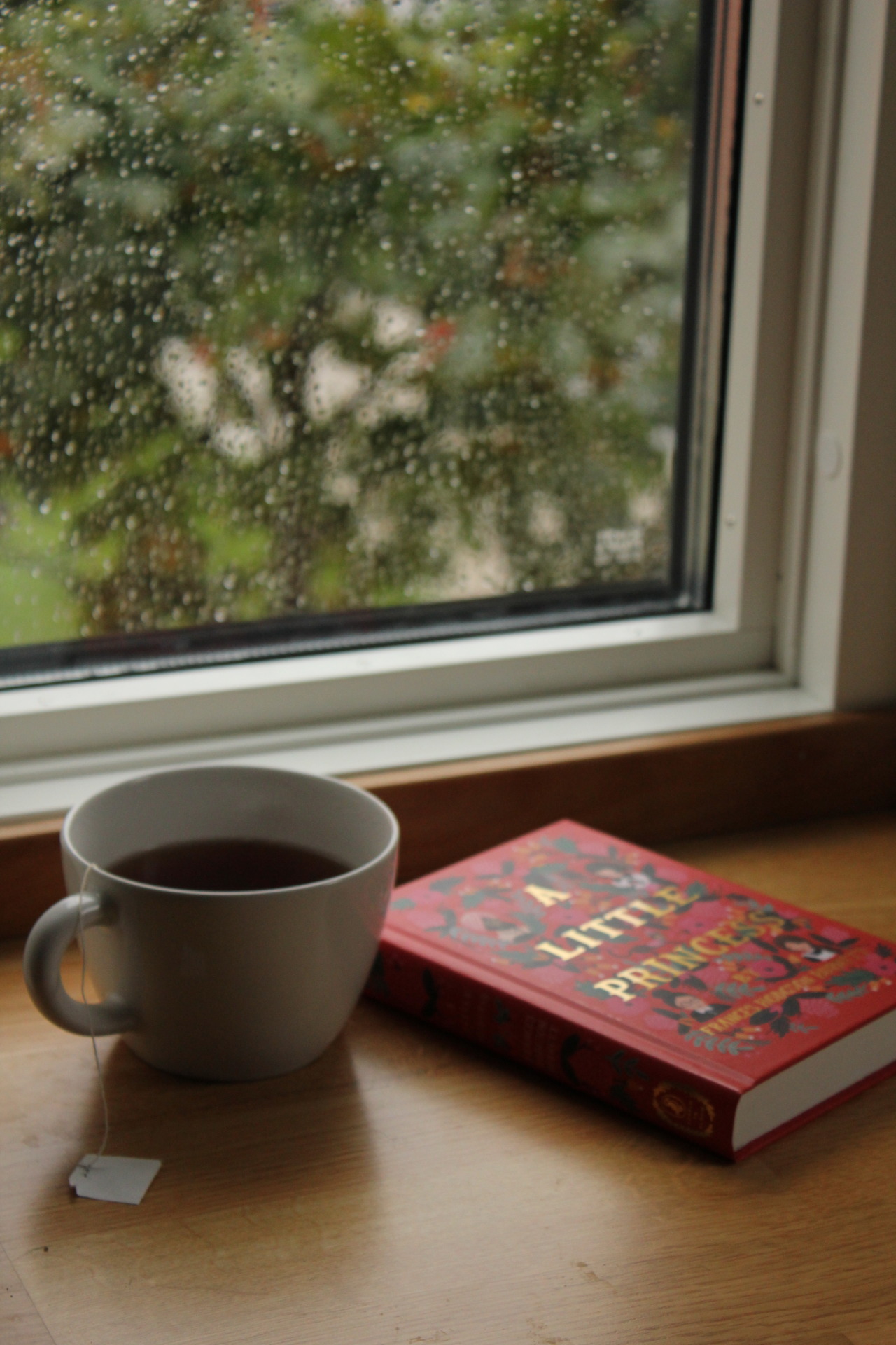 bookslooks:  We’re staying indoors. 