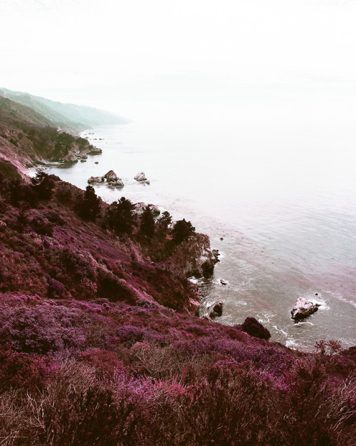 Lost in the Daydream…Big Sur, CA.(Pentax 67 | 55mm | Lomochrome Purple) 